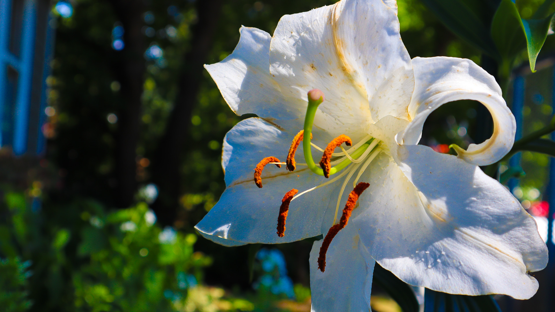 Cypress Gardeners gallery photo 4