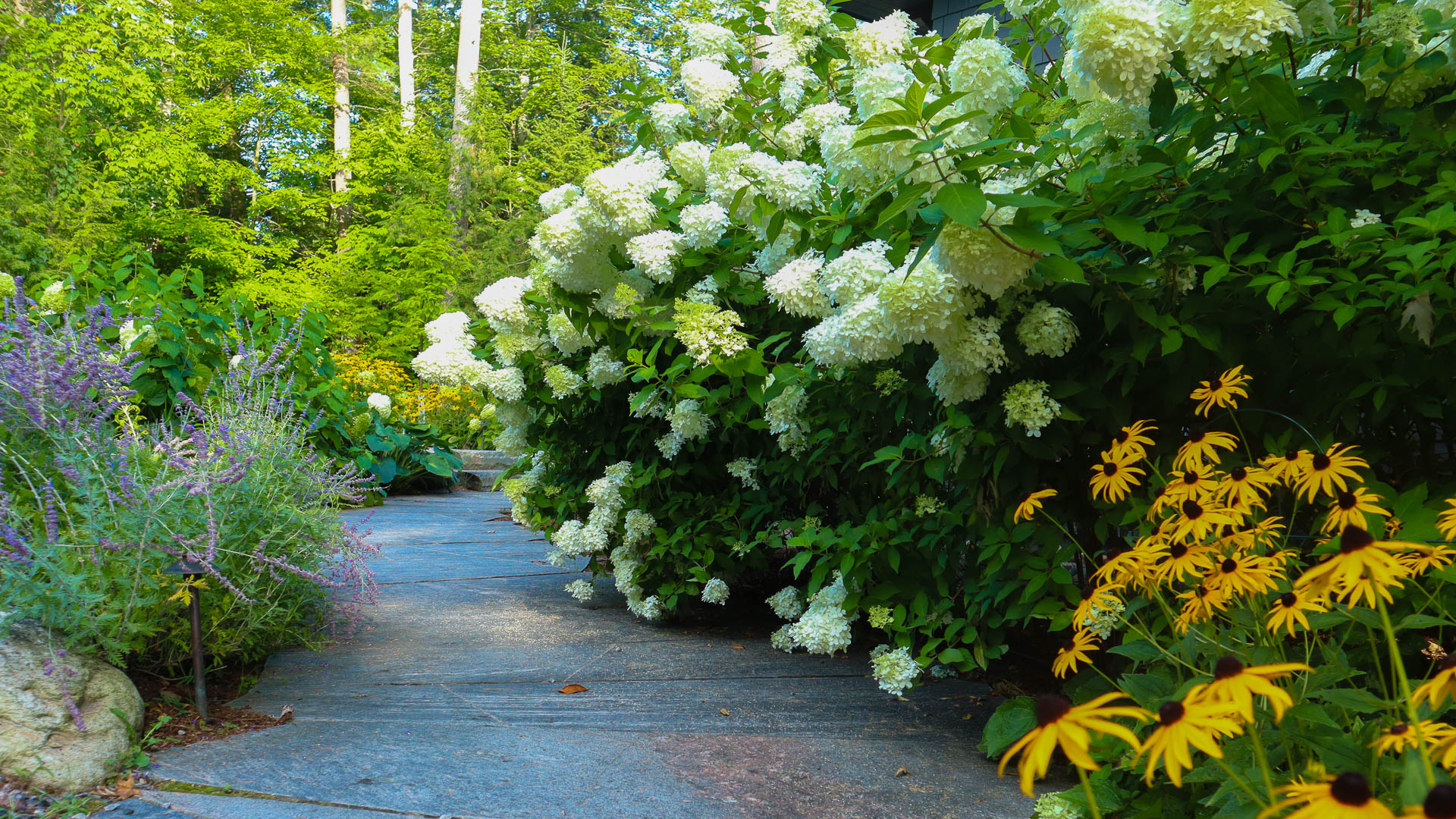 Cypress Gardeners horticultural maintenance work